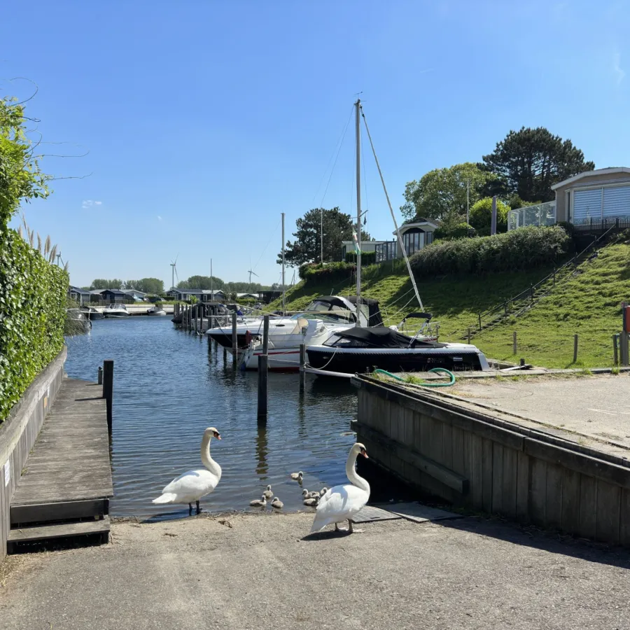 Camping met jachthaven Brielle 3