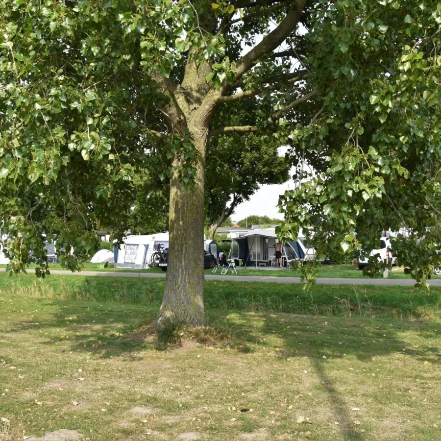 Camping Brielle kampeerplaats Spronsen buitenrand 29