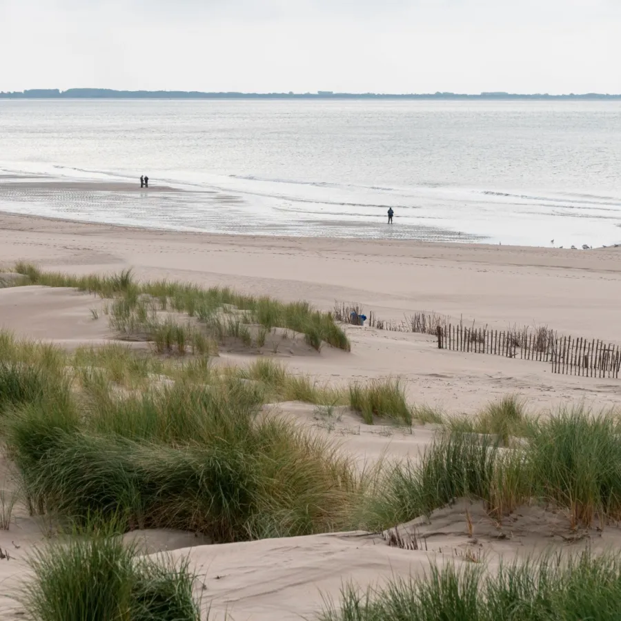 Camping Brielle omgeving 4