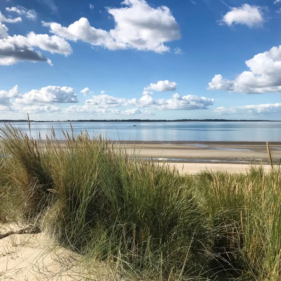 Omgeving camping brielle