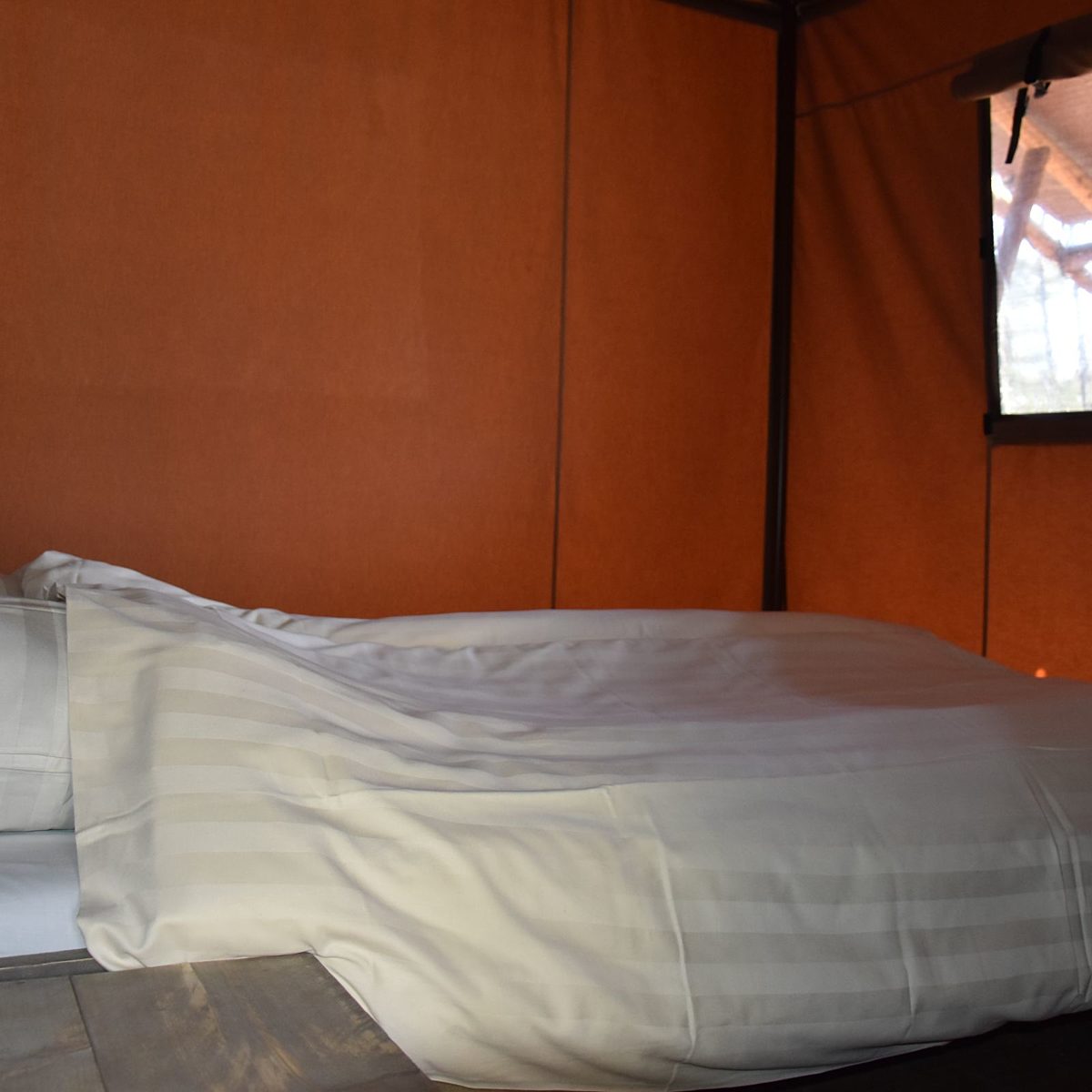 Glamping Overijssel boslodge met hond 7