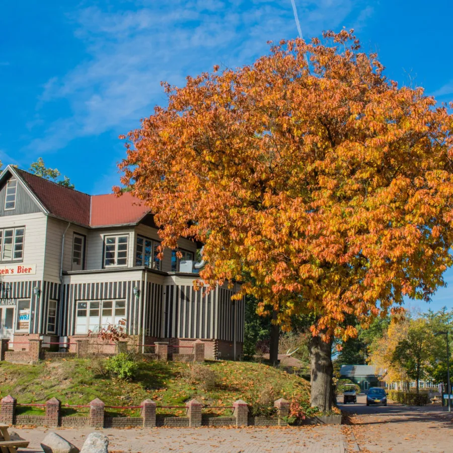 Herfstvakantie Bugalowpark Veluwe Samoza 1