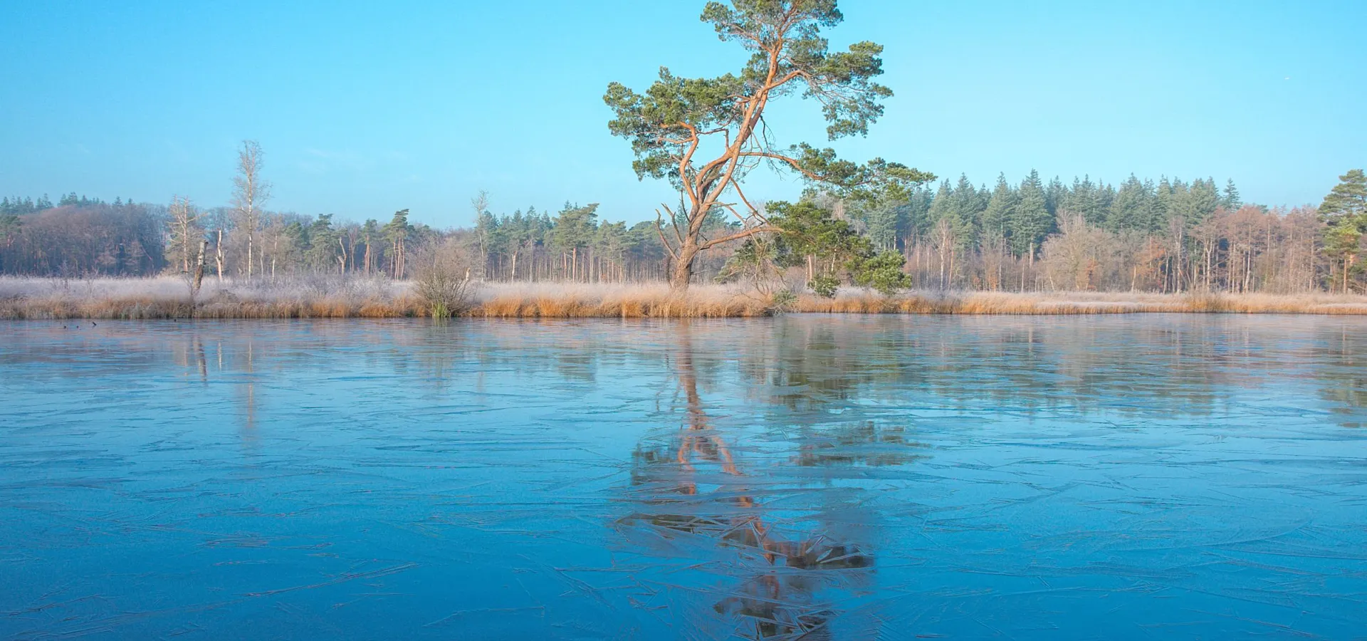 Kerstvakantie Veluwe Bungalowpark Samoza 4