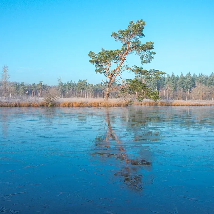 Kerstvakantie Veluwe Bungalowpark Samoza 4