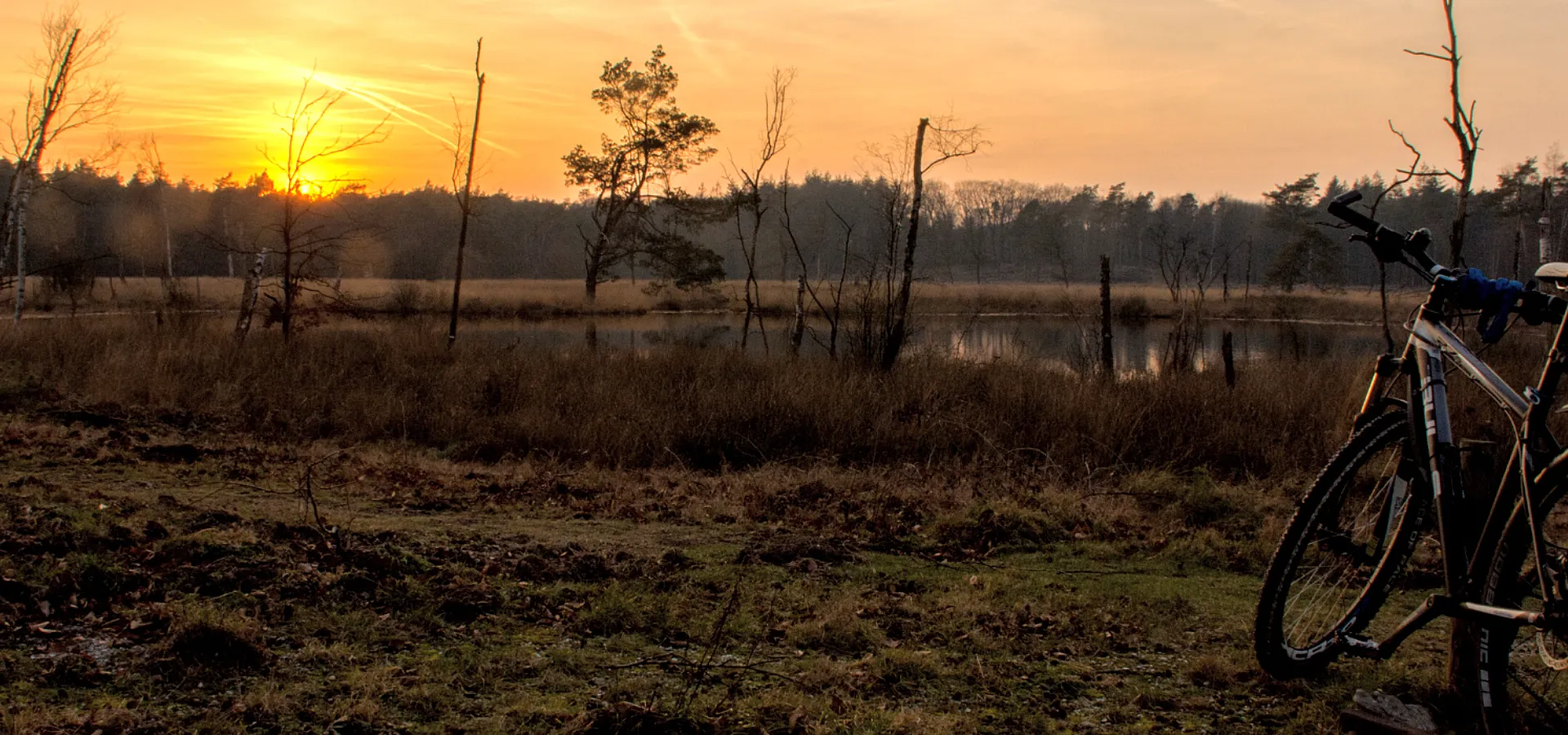 Header websiteafbeelding Voorjaars