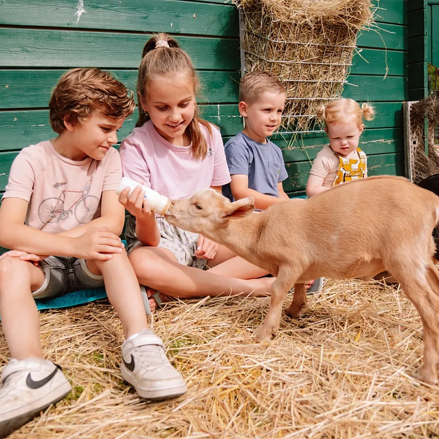 Camping Vierhouten Dierenhoeve 23