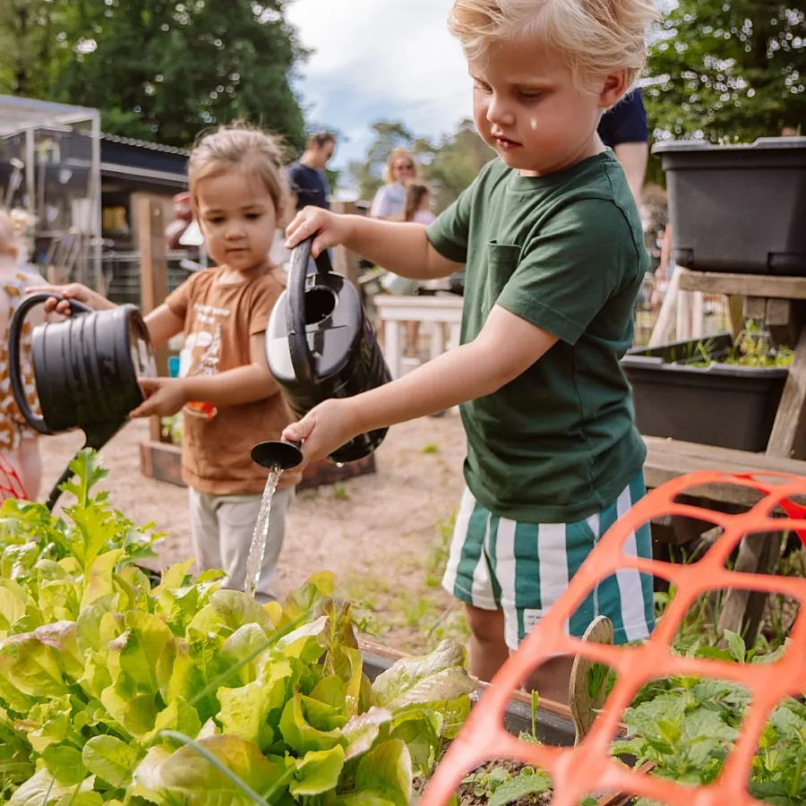 Camping Vierhouten Dierenhoeve 54