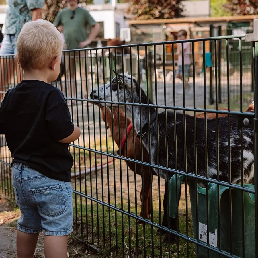 Camping Vierhouten Dierenhoeve 2