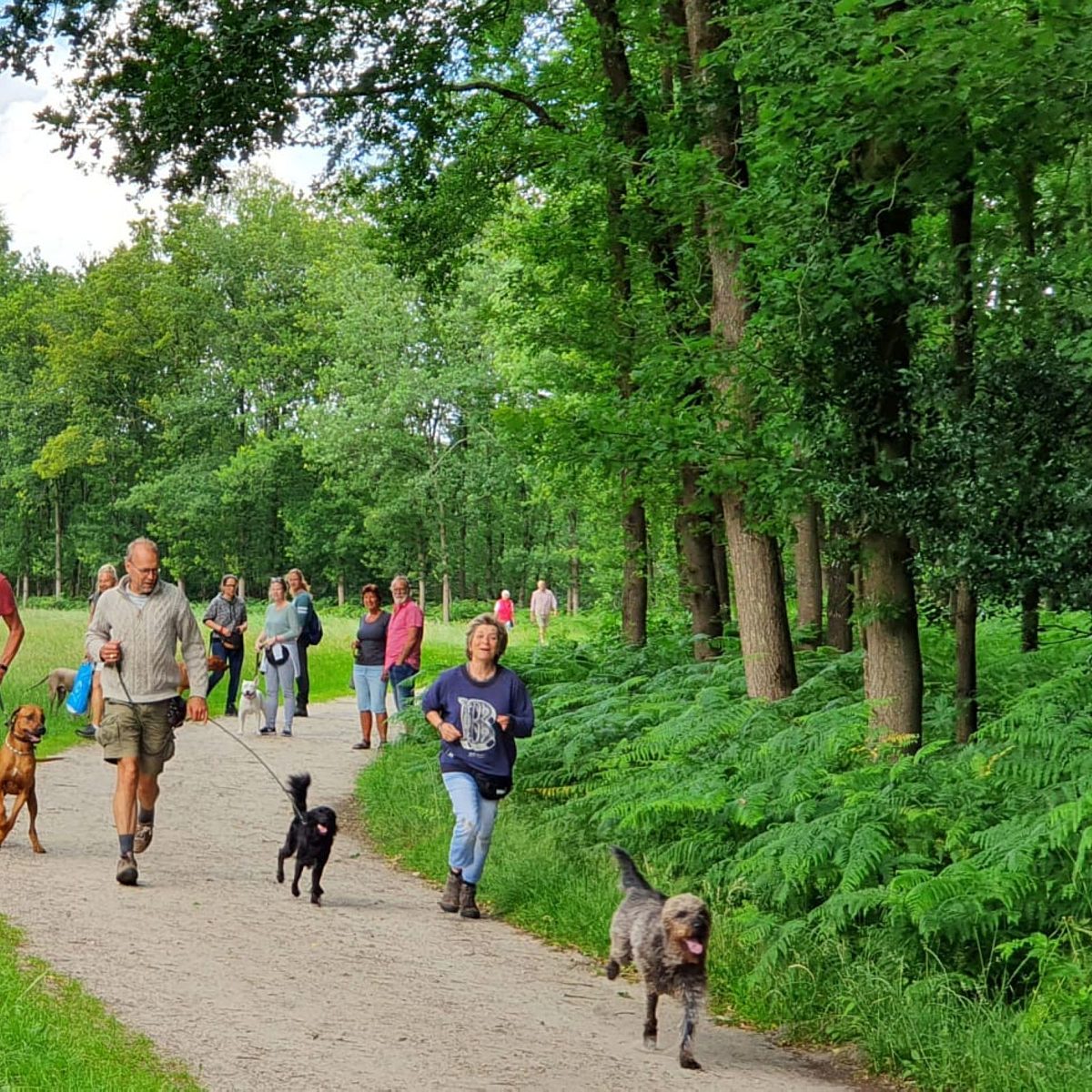 Camping Veluwe met hond 15