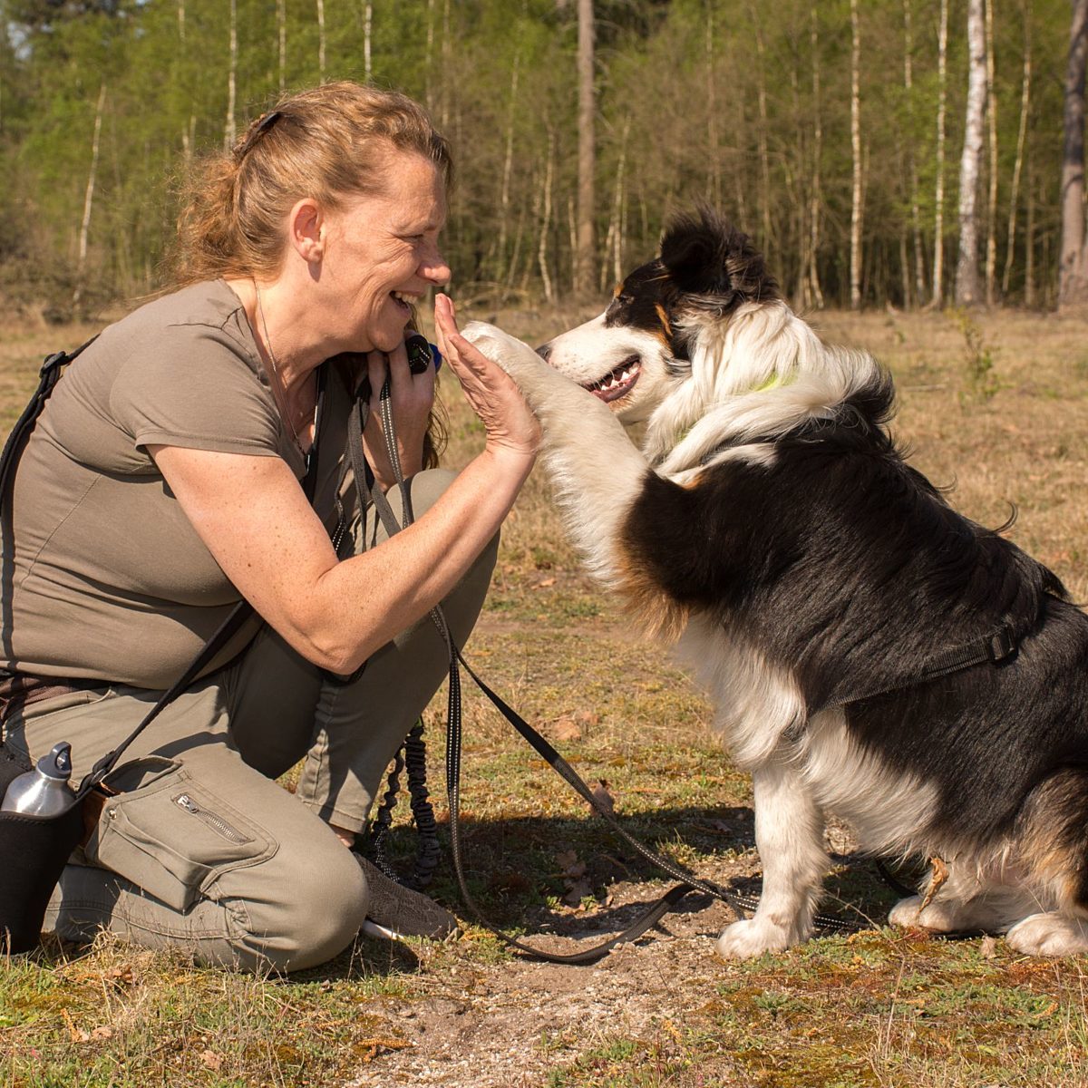 Camping Veluwe met hond 6