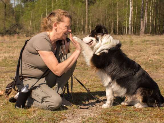 Camping Veluwe met hond 6