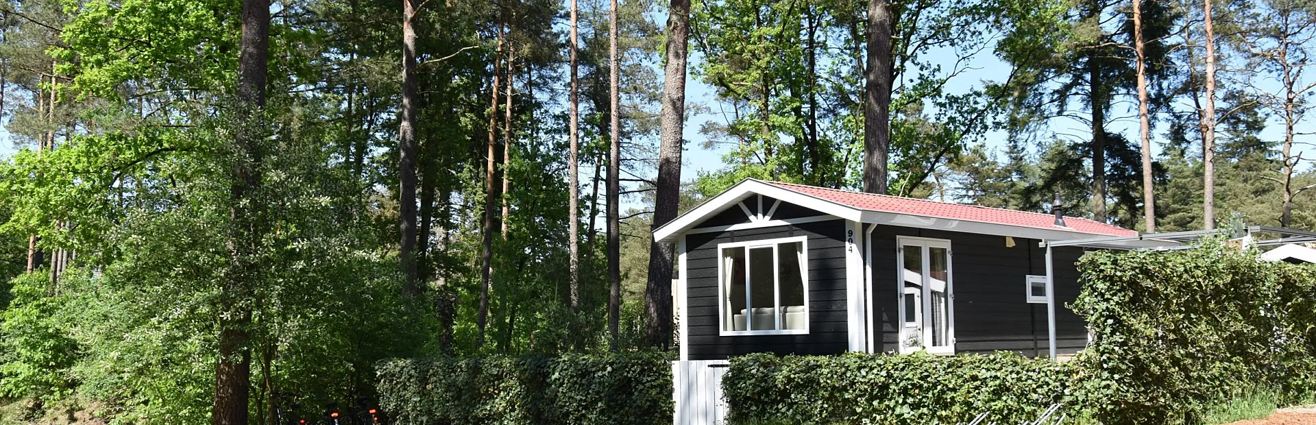 Chalet kopen op de Veluwe 5