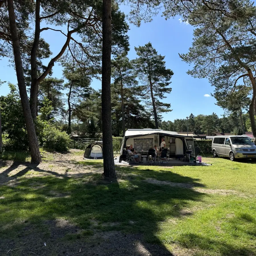 Camping Veluwe kamperen XXL Ekster 90