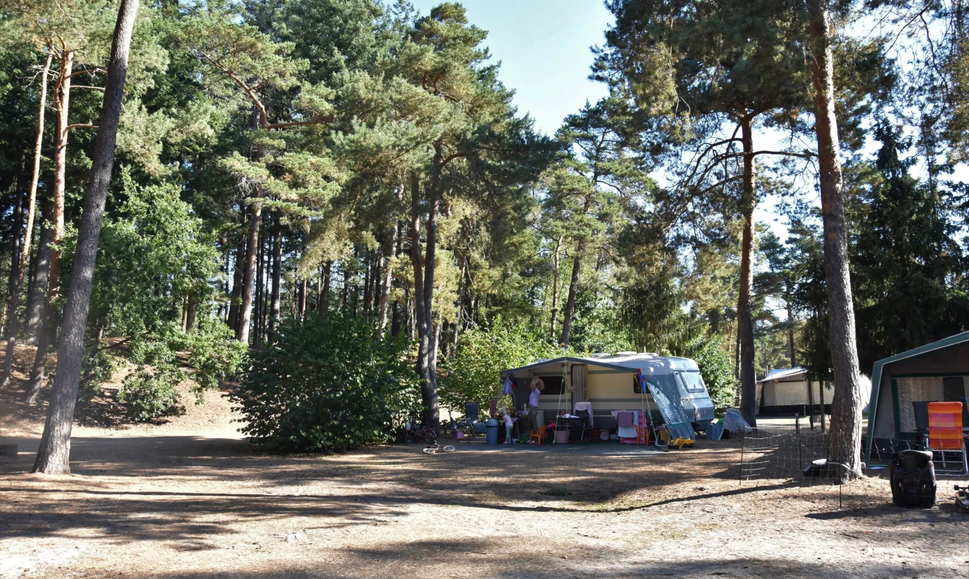 Camping Vierhouten Veluwe Samoza Buizerd 14