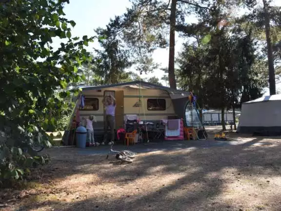 Camping Vierhouten Veluwe Samoza Buizerd 16