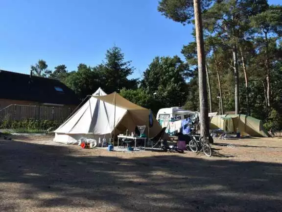 Camping Vierhouten Veluwe Samoza Buizerd 3