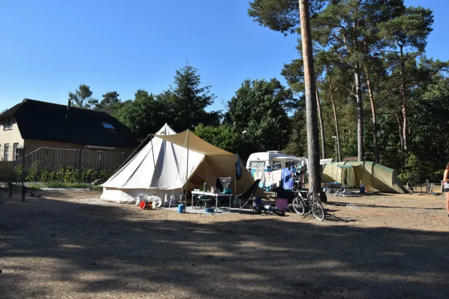 Camping Vierhouten Veluwe Samoza Buizerd 3