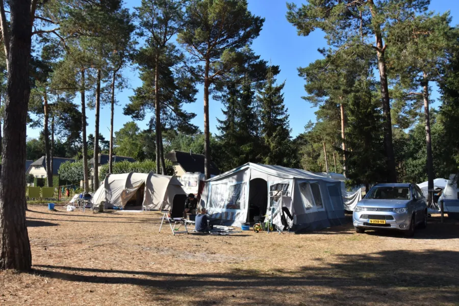 Camping Vierhouten Veluwe Samoza Buizerd 6