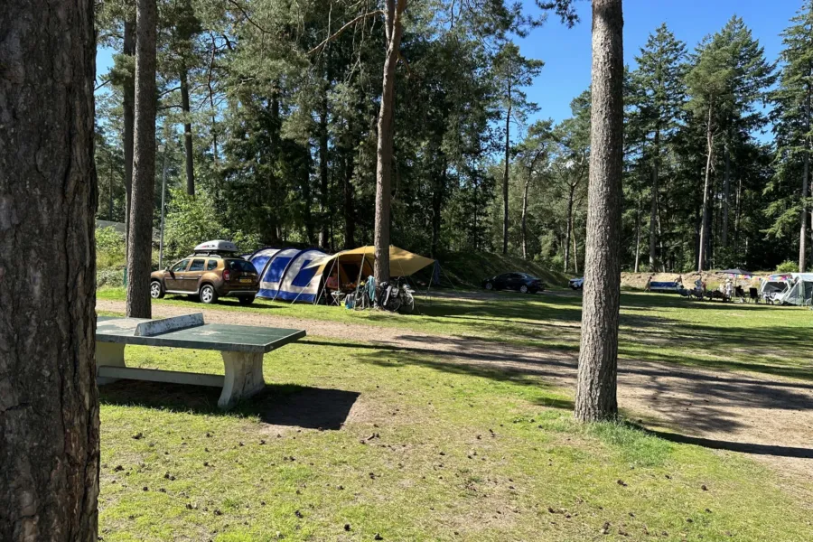 Camping Veluwe kampeerplaats Leeuwerik 11