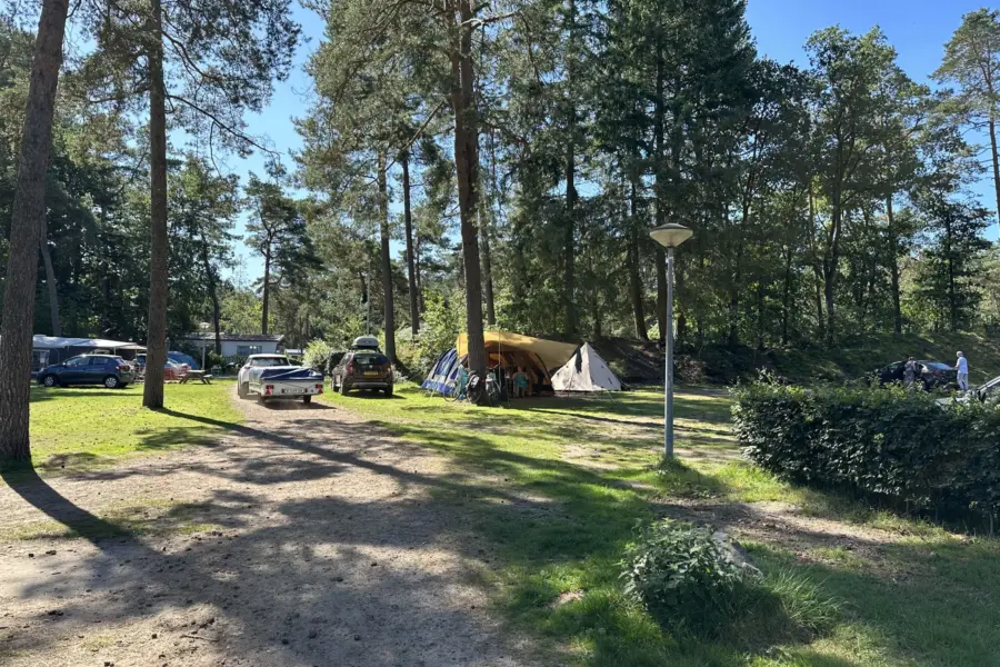 Camping Veluwe kampeerplaats Leeuwerik 12
