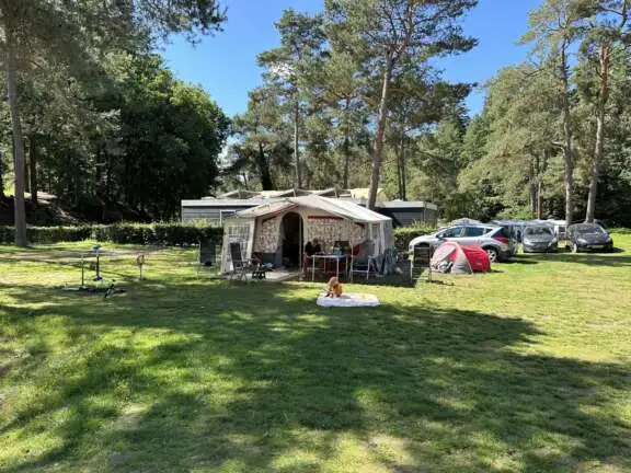 Camping Veluwe kampeerplaats Putter 1