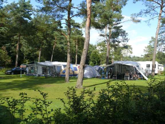 Camping Vierhouten kampeerplaats Putter 4