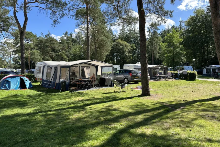 Camping Veluwe kampeerplaats Putter 12