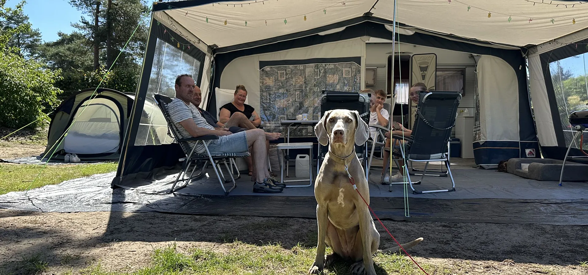 Camping Veluwe kamperen XXL Ekster 79