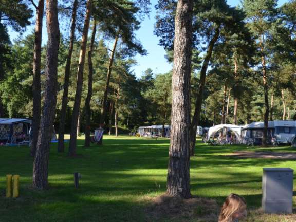 Camping Veluwe Samoza Ekster 1