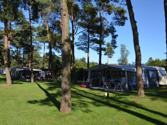 Camping Veluwe Samoza Ekster 3