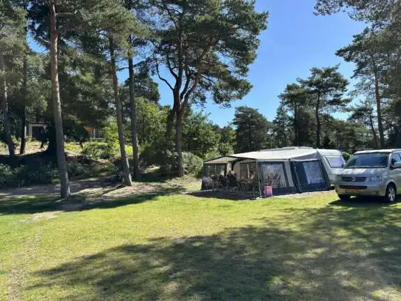 Camping Veluwe kamperen XXL Ekster 71