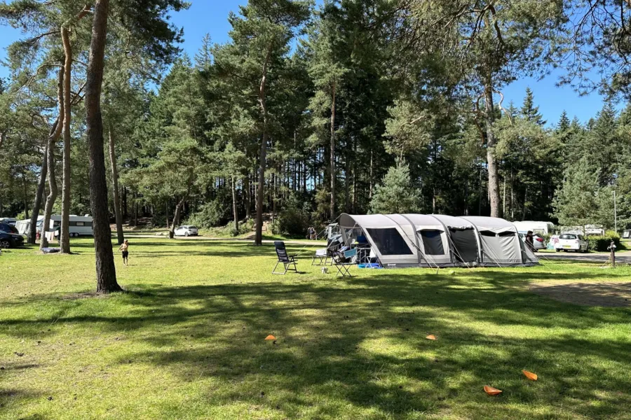 Camping Veluwe kamperen XXL Ekster 32