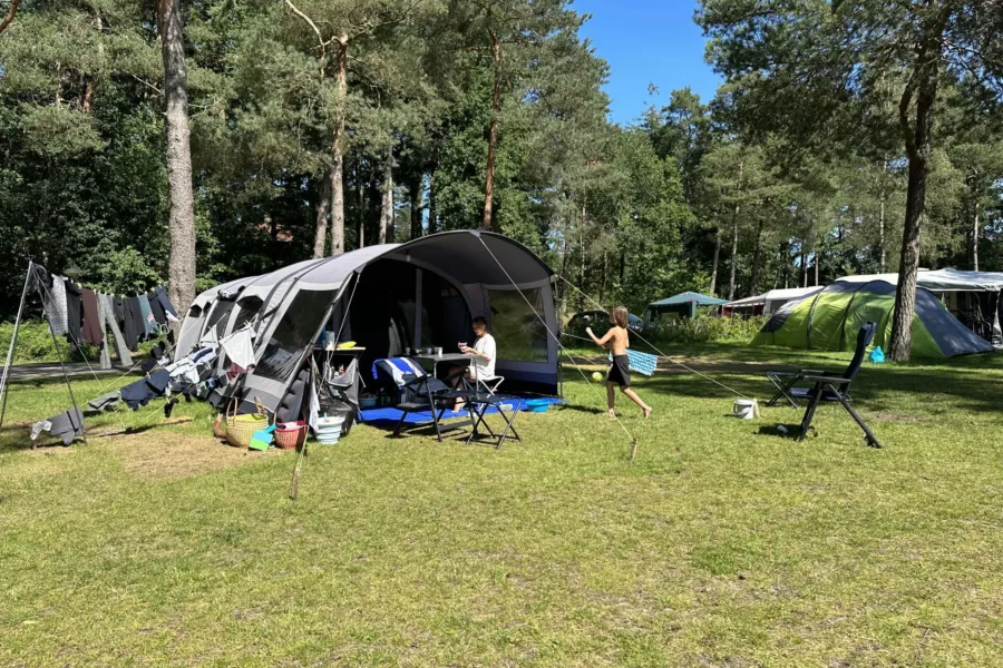 Camping Veluwe kamperen XXL Ekster 39