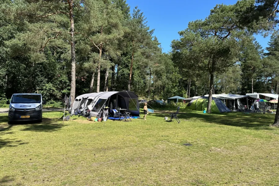 Camping Veluwe kamperen XXL Ekster 44