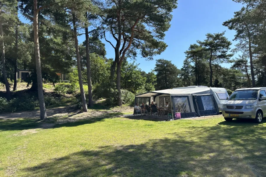 Camping Veluwe kamperen XXL Ekster 71