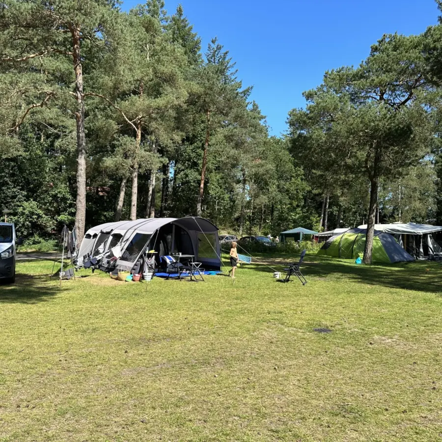 Camping Veluwe kamperen XXL Ekster 44