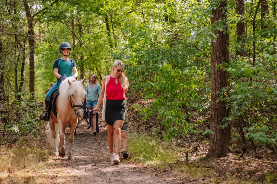Camping met Manege Samoza 81