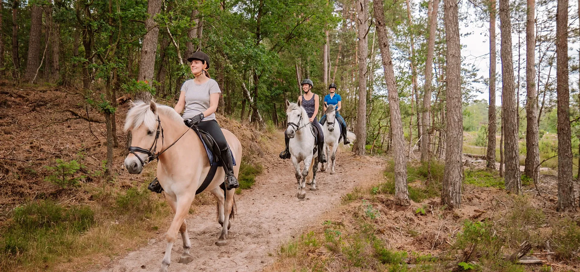 Camping met manege en pensionstalling 12