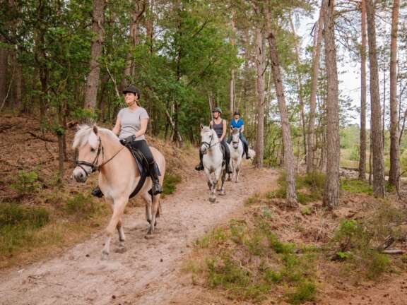 Camping met manege en pensionstalling 12