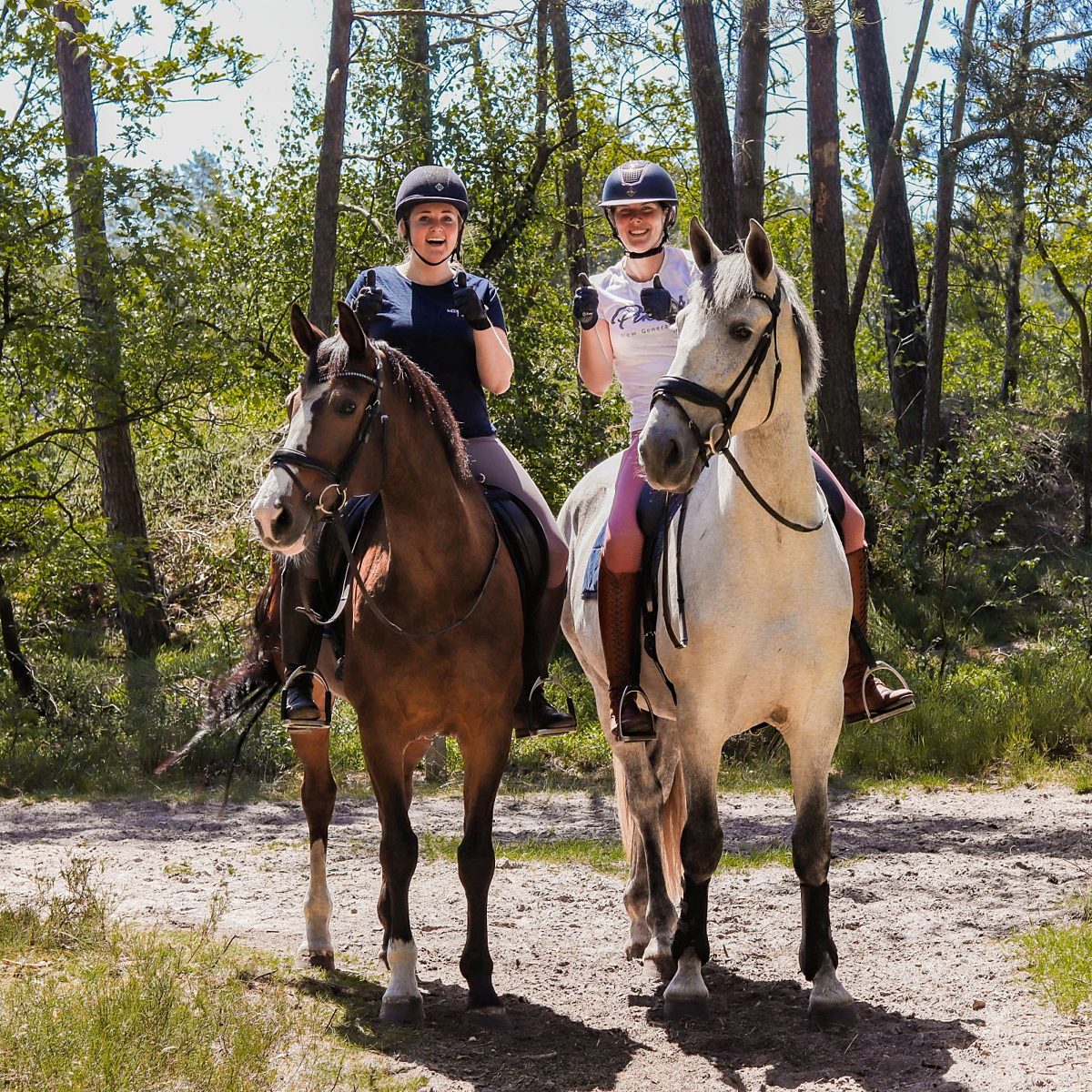 Vakantie met paard Veluwe Samoza 9