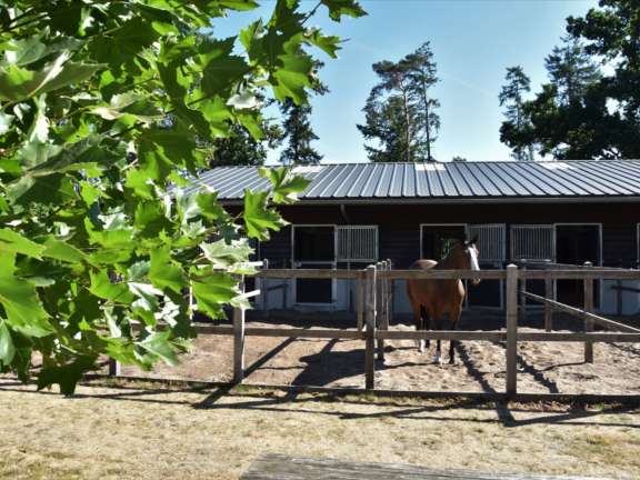 Vakantie met paard Veluwe Samoza 27