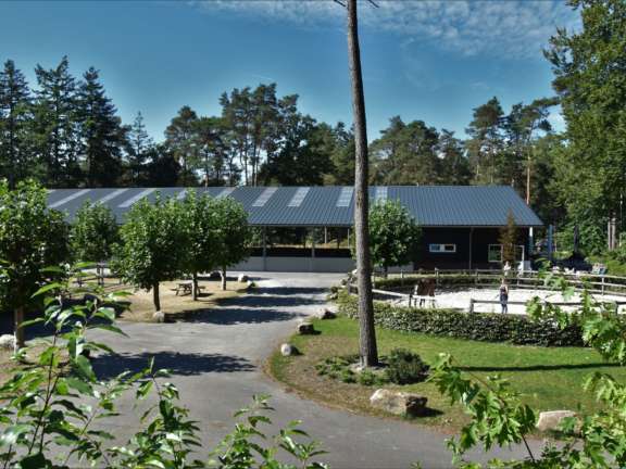 Vakantie met paard Veluwe Samoza 32