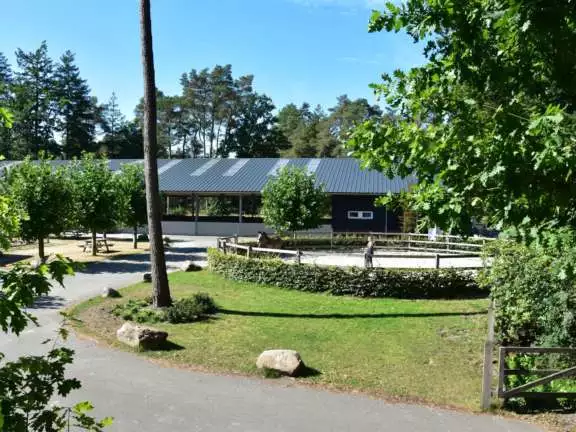 Vakantie met paard Veluwe Samoza 36
