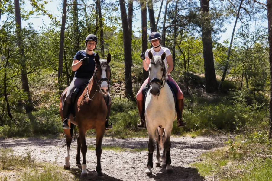 Vakantie met paard Veluwe Samoza 6