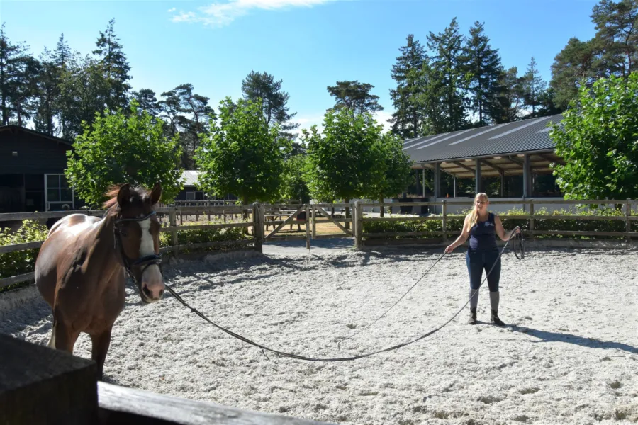 Vakantie met paard Veluwe Samoza 38