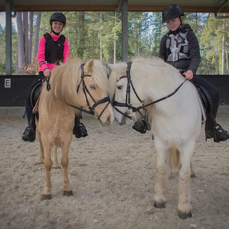 Vakantie met paard Veluwe Samoza 3