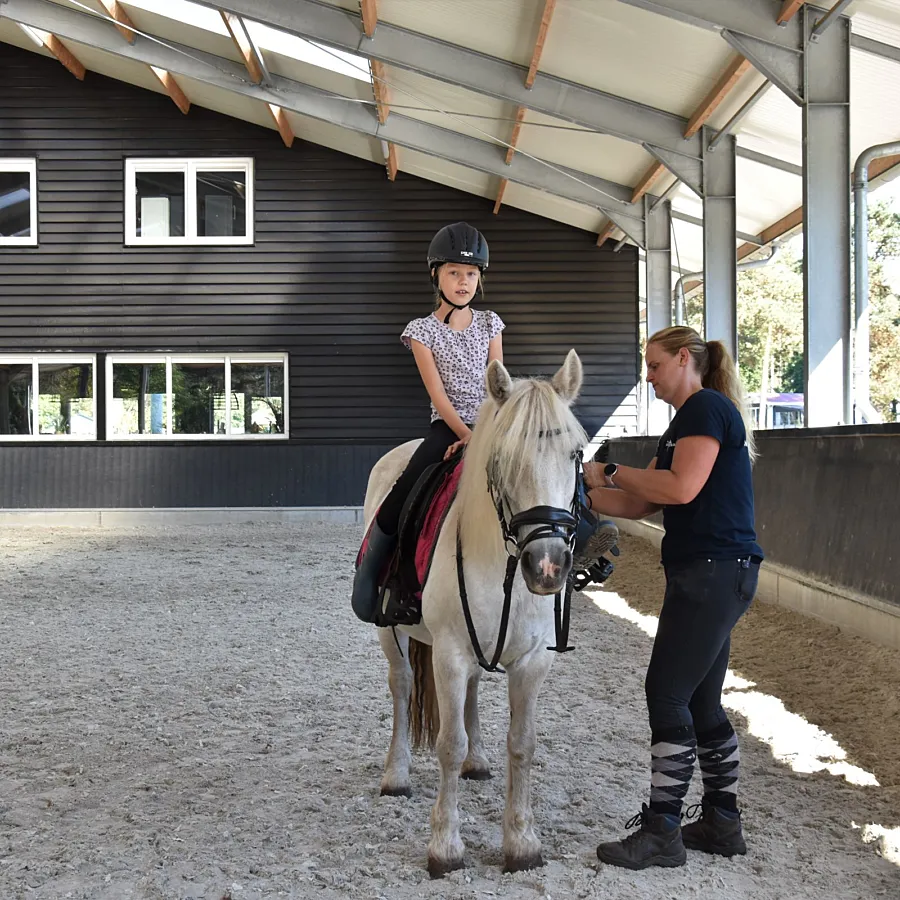 Vakantie met paard Veluwe Samoza 20