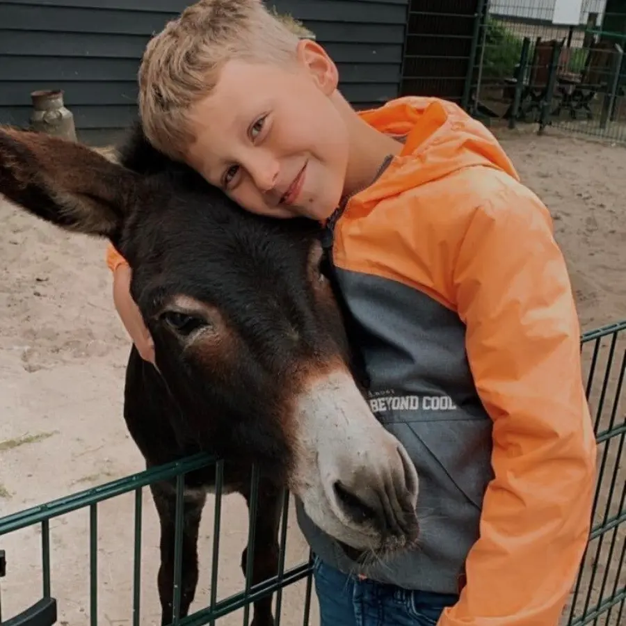 Dierenhoeve fotos 5