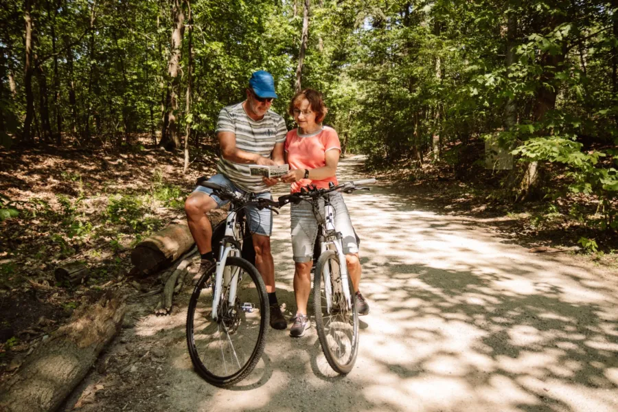 Fietsarrangement Veluwe