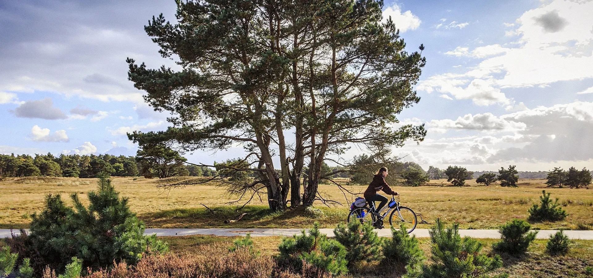 Camping Veluwe omgeving 3